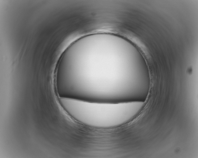 X0000095111423200712070908