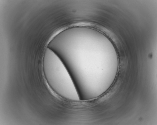 X0000095111425200712070908