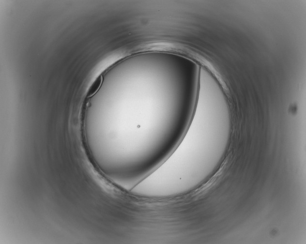 X0000095111426200712070908