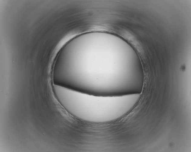 X0000095111427200712070908