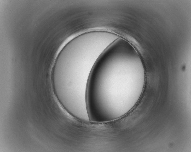 X0000095111428200712070908