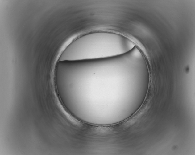 X0000095111429200712070908