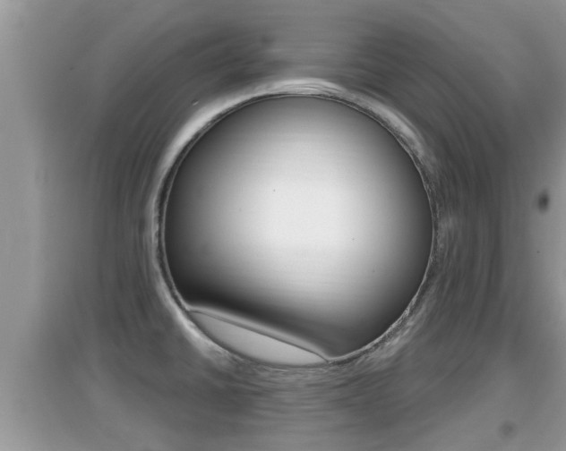 X0000095111430200712070908