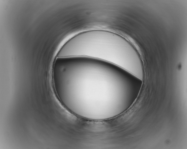 X0000095111432200712070908