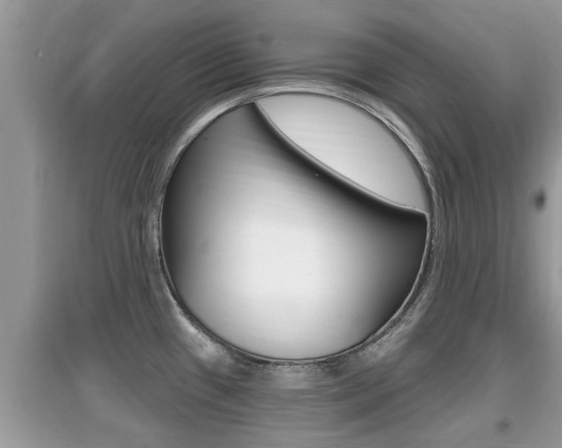 X0000095111433200712070908