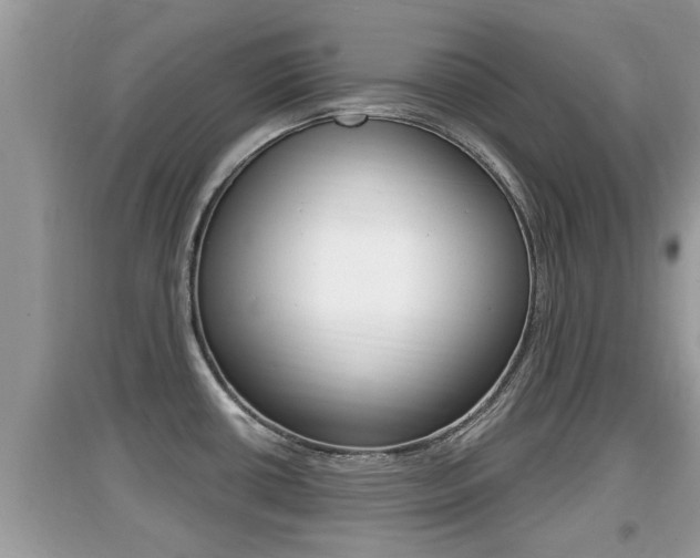 X0000095111434200712070908