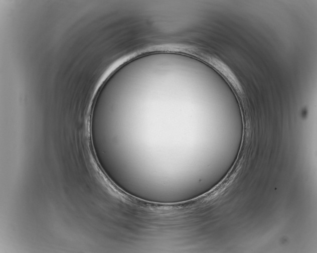 X0000095111436200712070909
