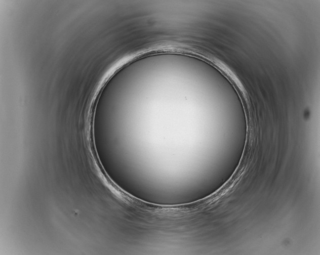 X0000095111437200712070909