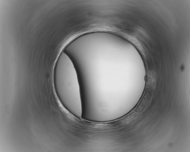 X0000095111439200712070909