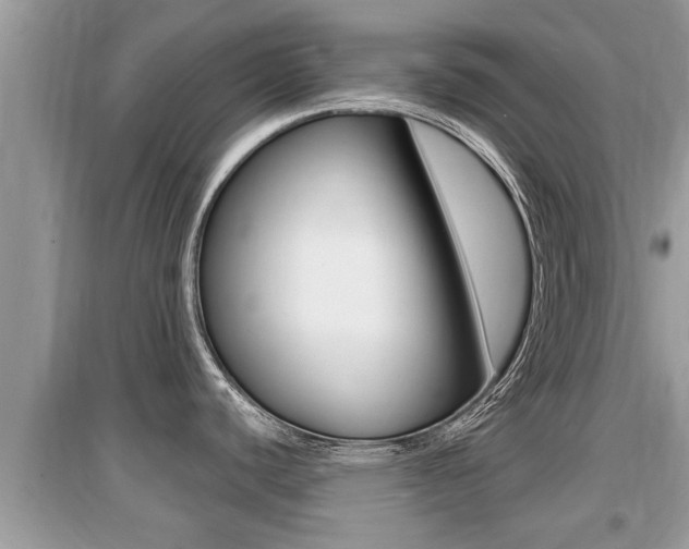X0000095111440200712070909