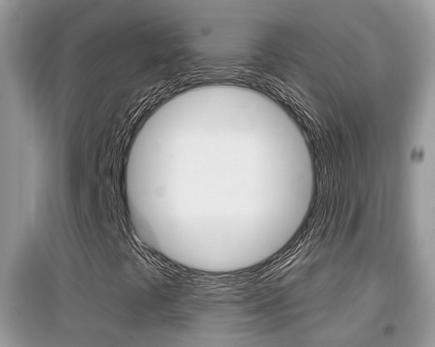 X0000095111441200712070908