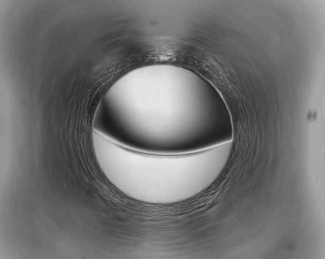 X0000095111442200712070908