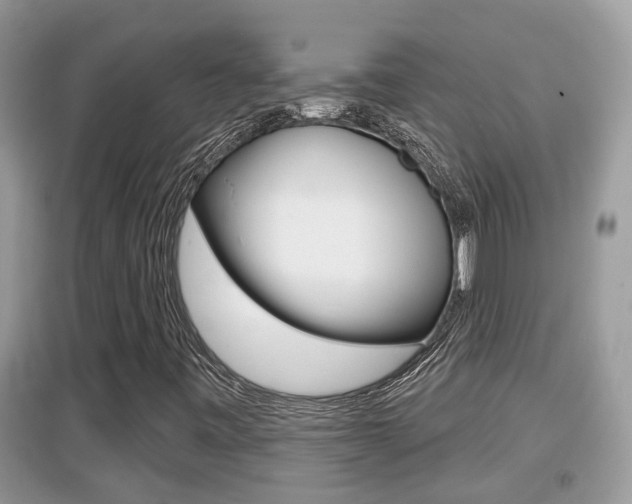 X0000095111443200712070908