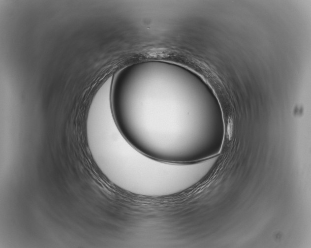 X0000095111444200712070908