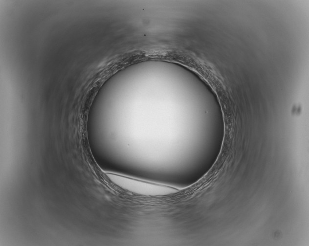 X0000095111445200712070908