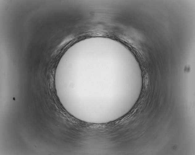 X0000095111446200712070908