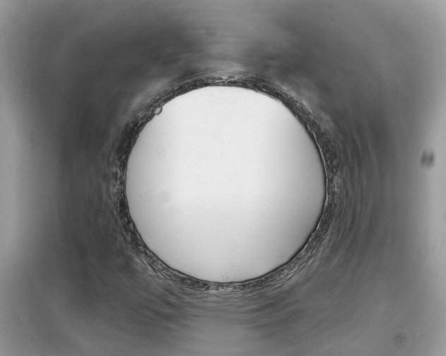 X0000095111447200712070908