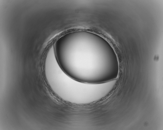 X0000095111448200712070908