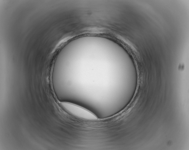 X0000095111451200712070908