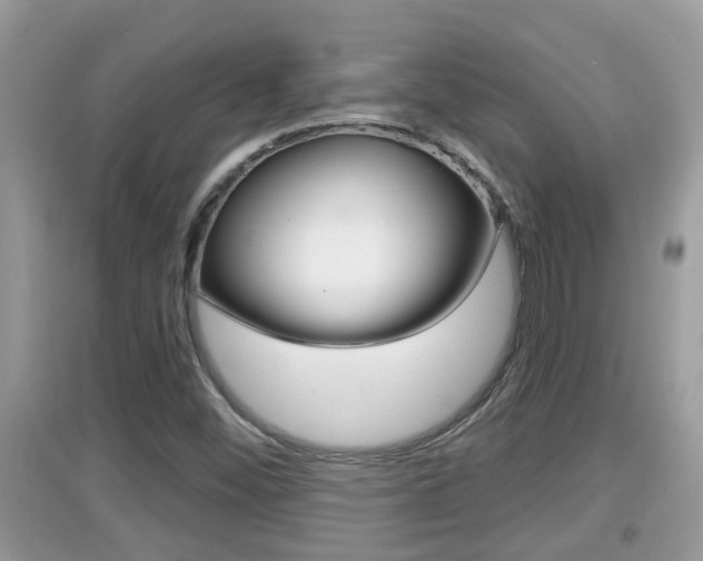 X0000095111452200712070908