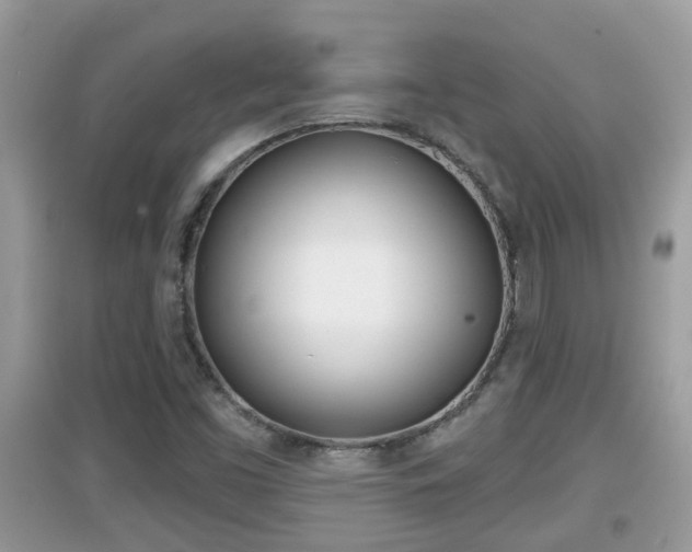X0000095111453200712070908