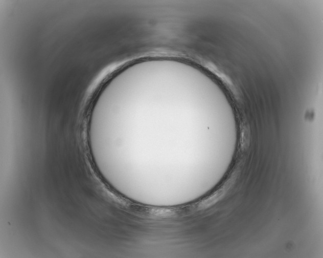 X0000095111454200712070908
