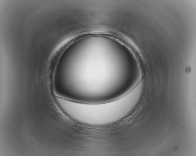 X0000095111456200712070908