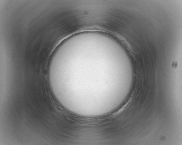 X0000095111457200712070908