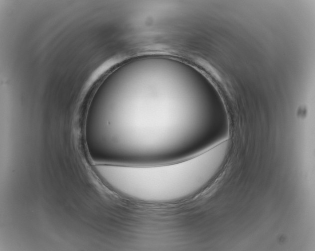 X0000095111458200712070908