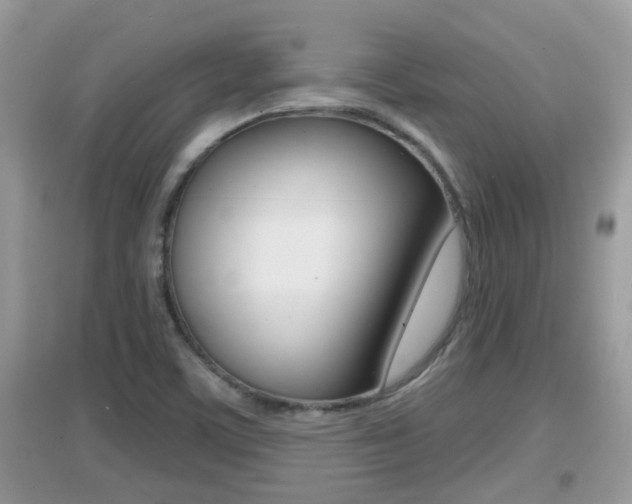 X0000095111459200712070908