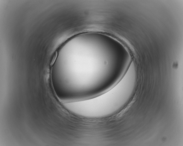 X0000095111461200712070908