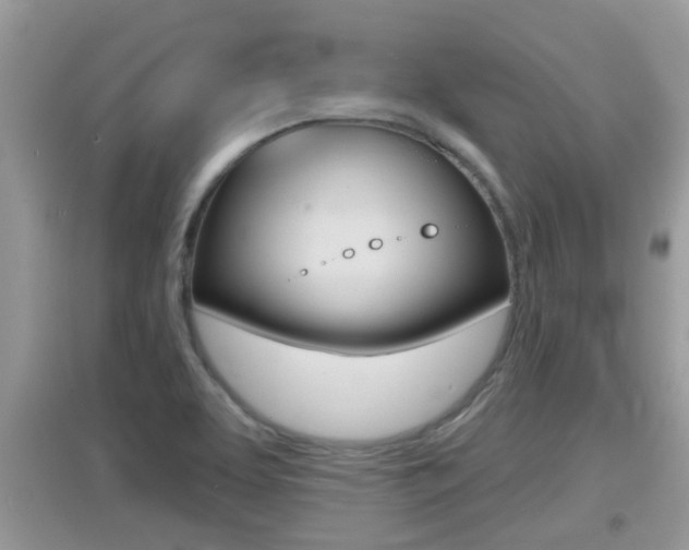 X0000095111463200712070908