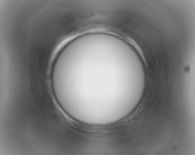 X0000095111464200712070908