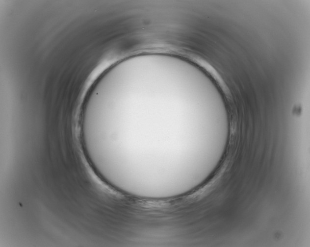 X0000095111466200712070908