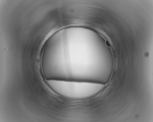 X0000095111467200712070908