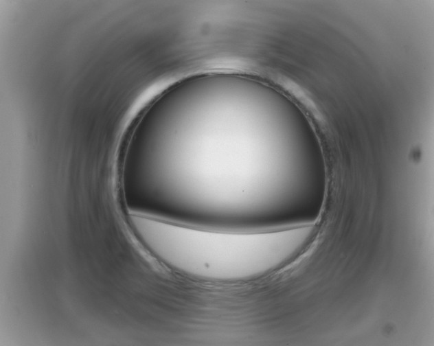 X0000095111469200712070908