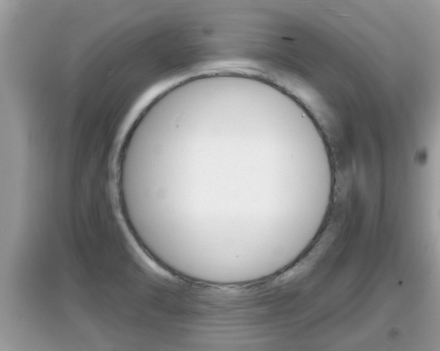 X0000095111470200712070907