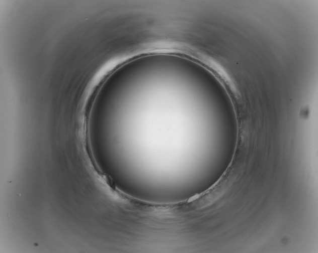 X0000095111472200712070907