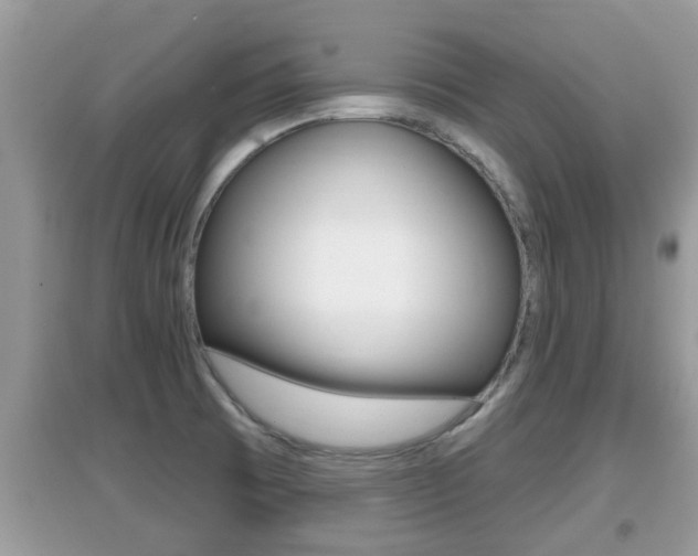 X0000095111473200712070907