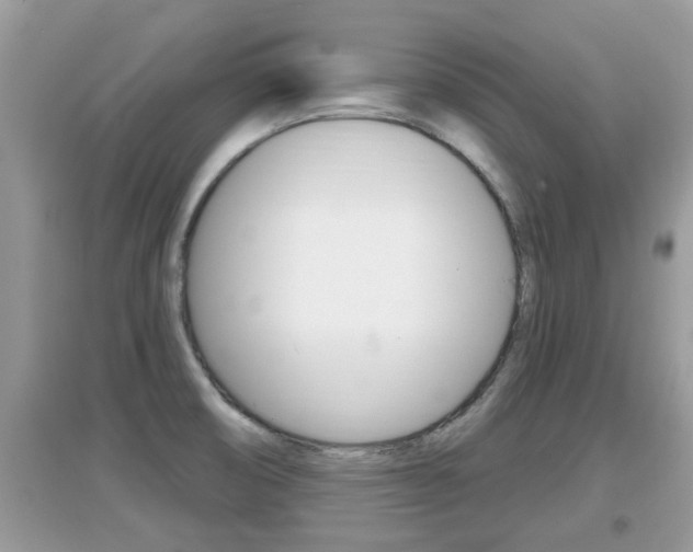 X0000095111474200712070907