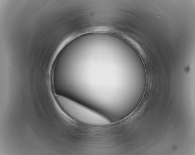 X0000095111475200712070907