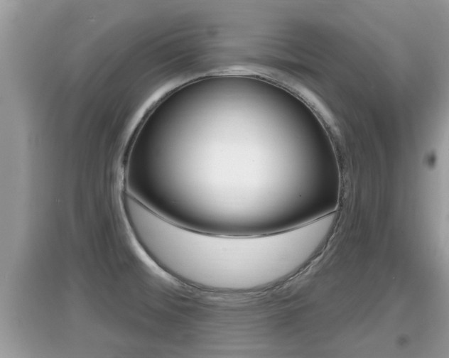 X0000095111476200712070907