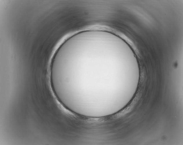 X0000095111478200712070907