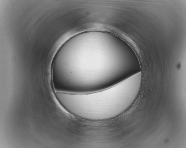 X0000095111479200712070907