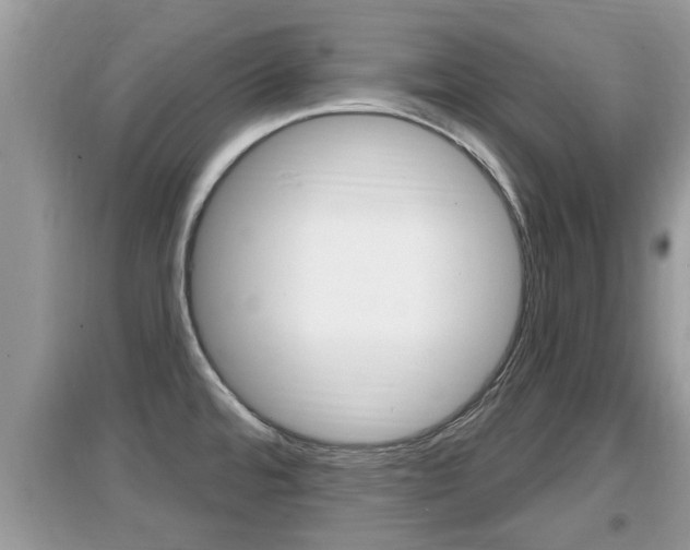 X0000095111480200712070907