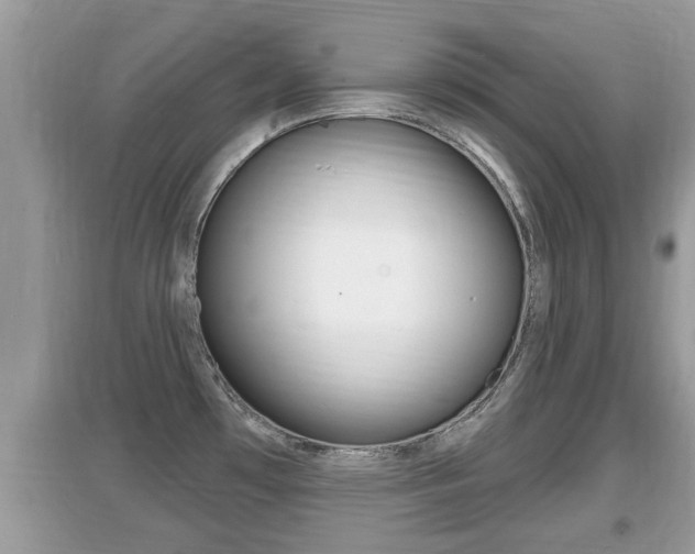 X0000095111481200712070907