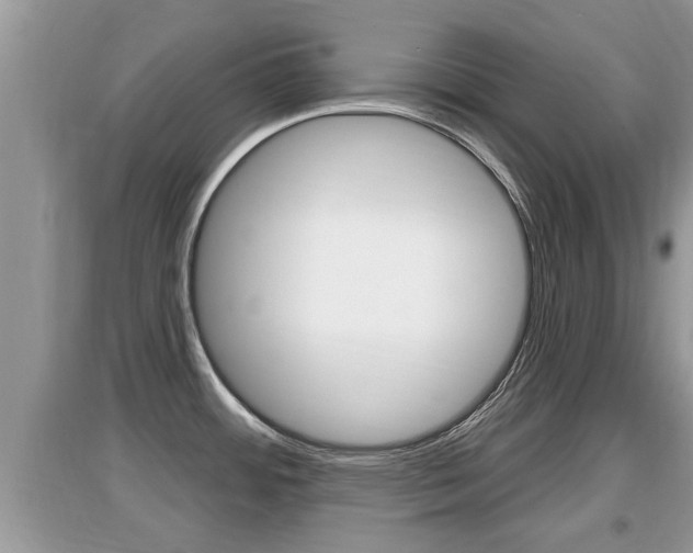 X0000095111484200712070907