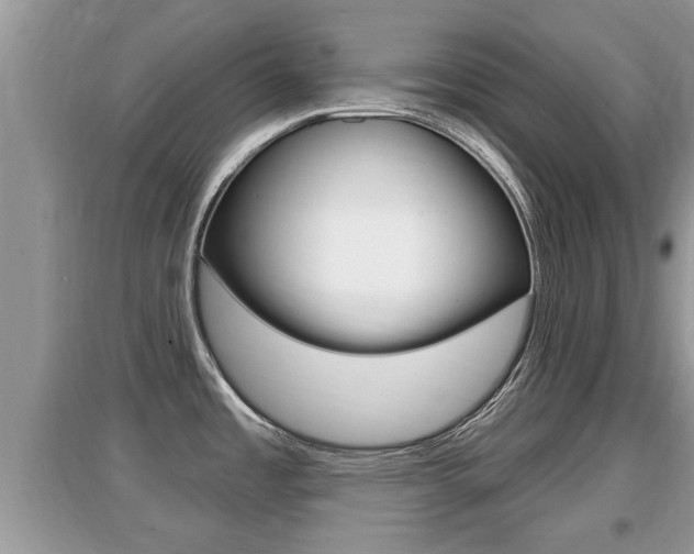 X0000095111485200712070907