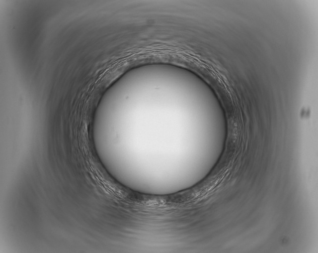 X0000095111489200712070907