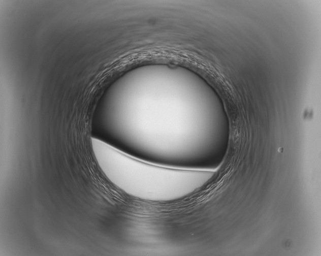 X0000095111490200712070907